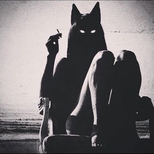 Meet your Posher, Kaylyn